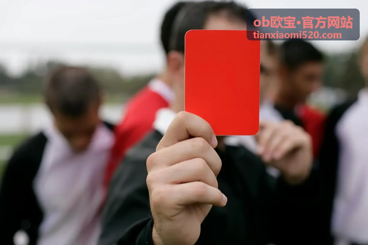 ob欧宝数据看板功能说明图